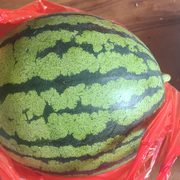 爱吃西瓜的老头