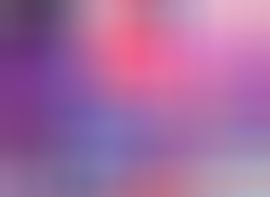 海鸽晚上播主播照片