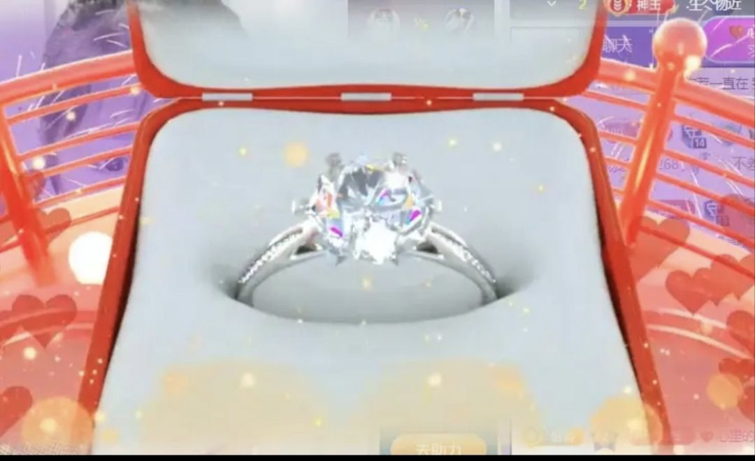 海鸽晚上播的图片