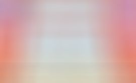 海鸽晚上播主播照片