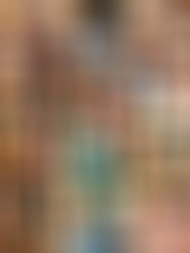 海鸽晚上播主播照片