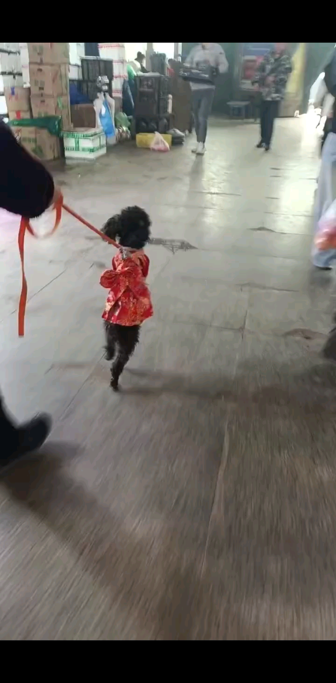 就这么走真好玩