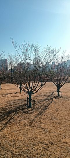 傲世_天下主播照片