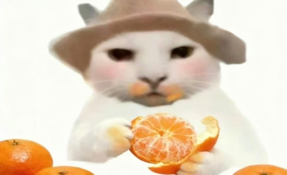 糕手大王??歌主播圖片