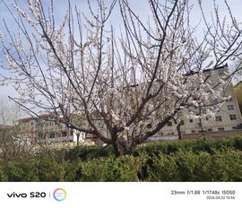 ☞小虎哥☜的图片