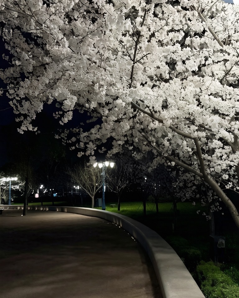 思佳??主播圖片