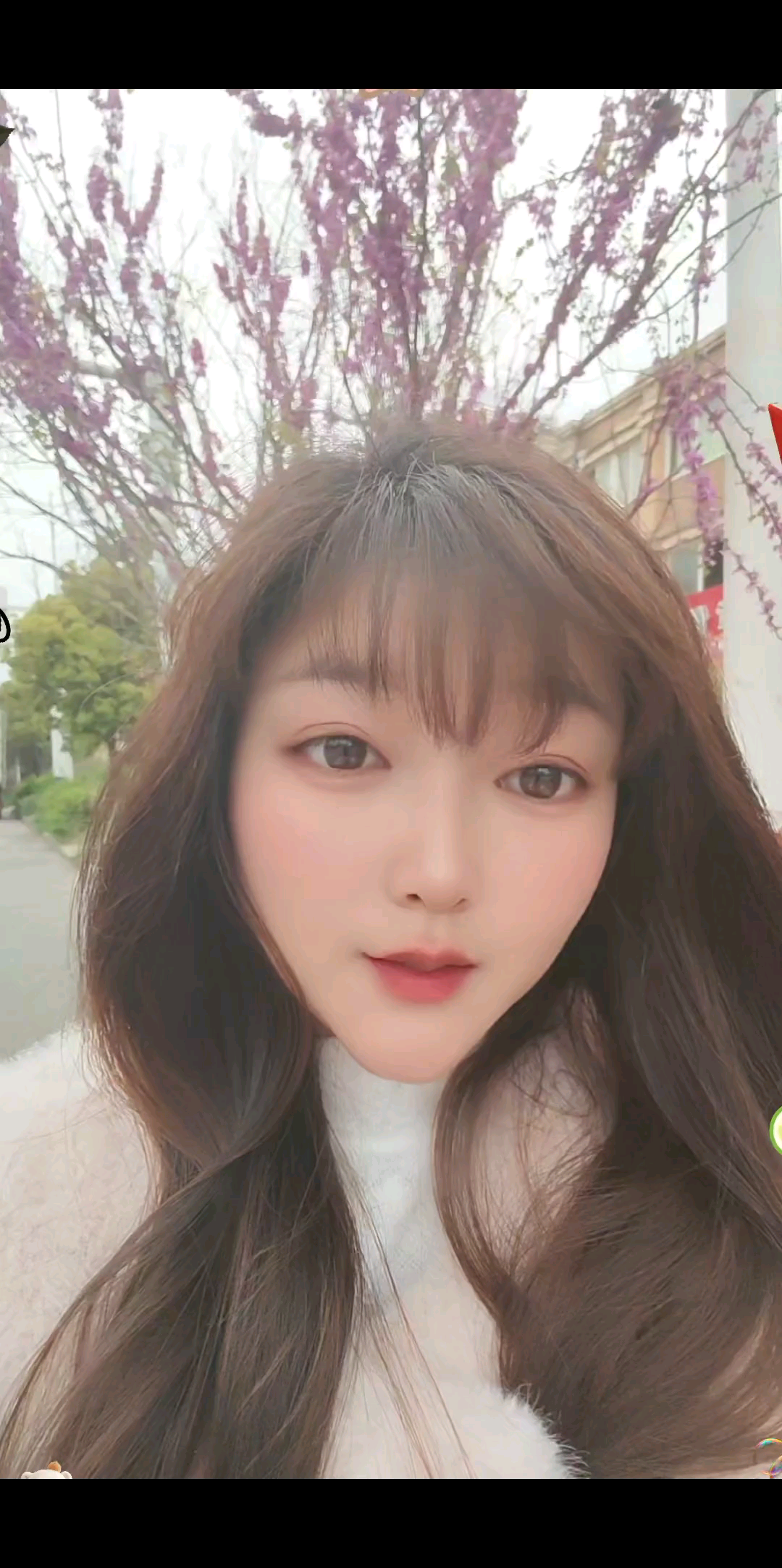 你就是我心中的棉花糖