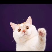 玄黄霸主😁海报