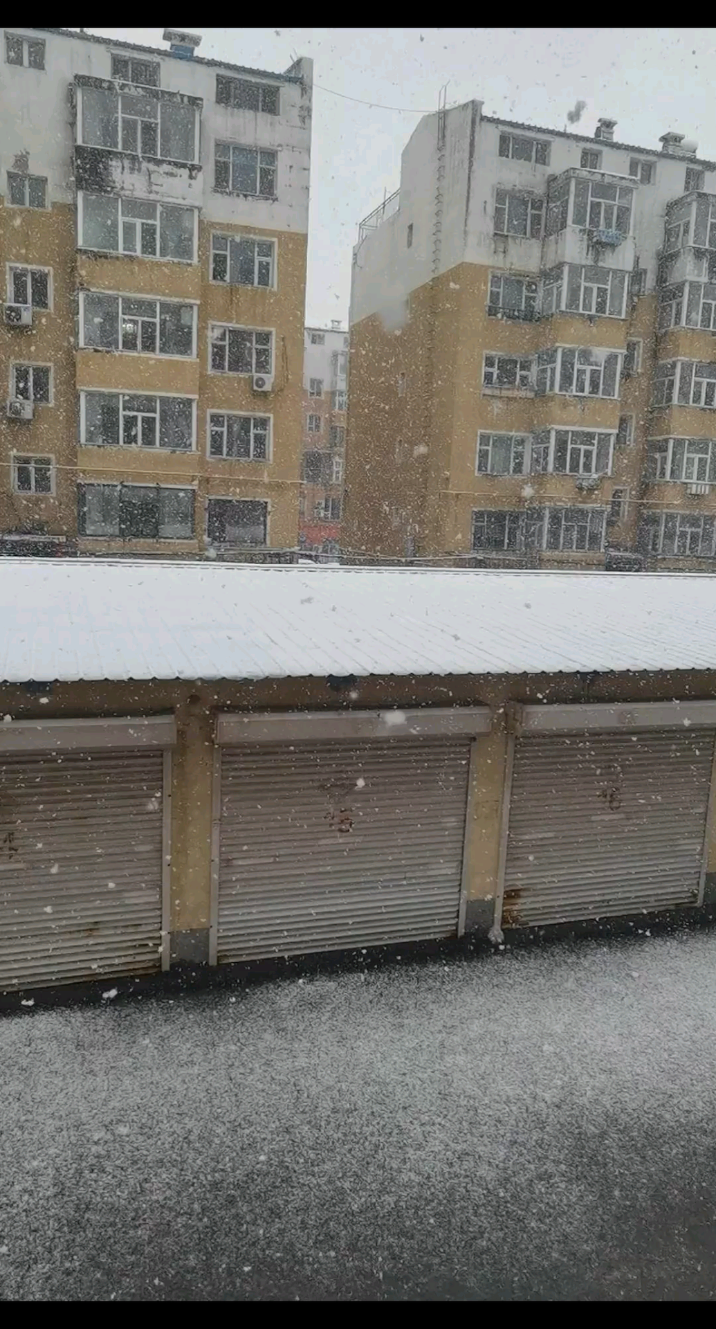 大雪纷飞