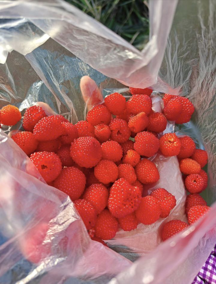 糖笑笑゛等風(fēng)也等伱主播圖片