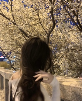 8809001的图片