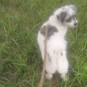 迷糊∽昵称的头像