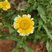 相遇不是恩赐就是教训