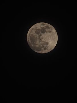 小雨点ღ主播照片