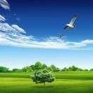 海闊天空Oft的頭像