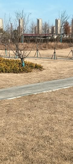 傲世_天下主播照片