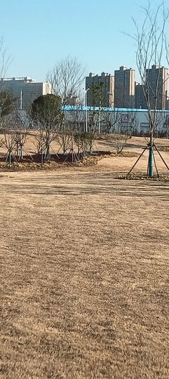 傲世_天下主播照片