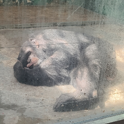 你狂任你狂清风拂山岗