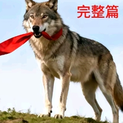 神蜜王者！