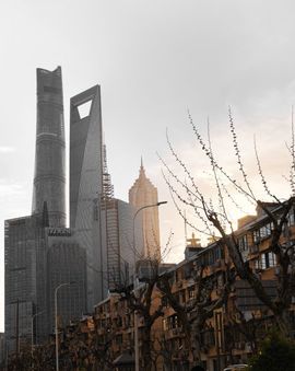 我是自由啊的图片