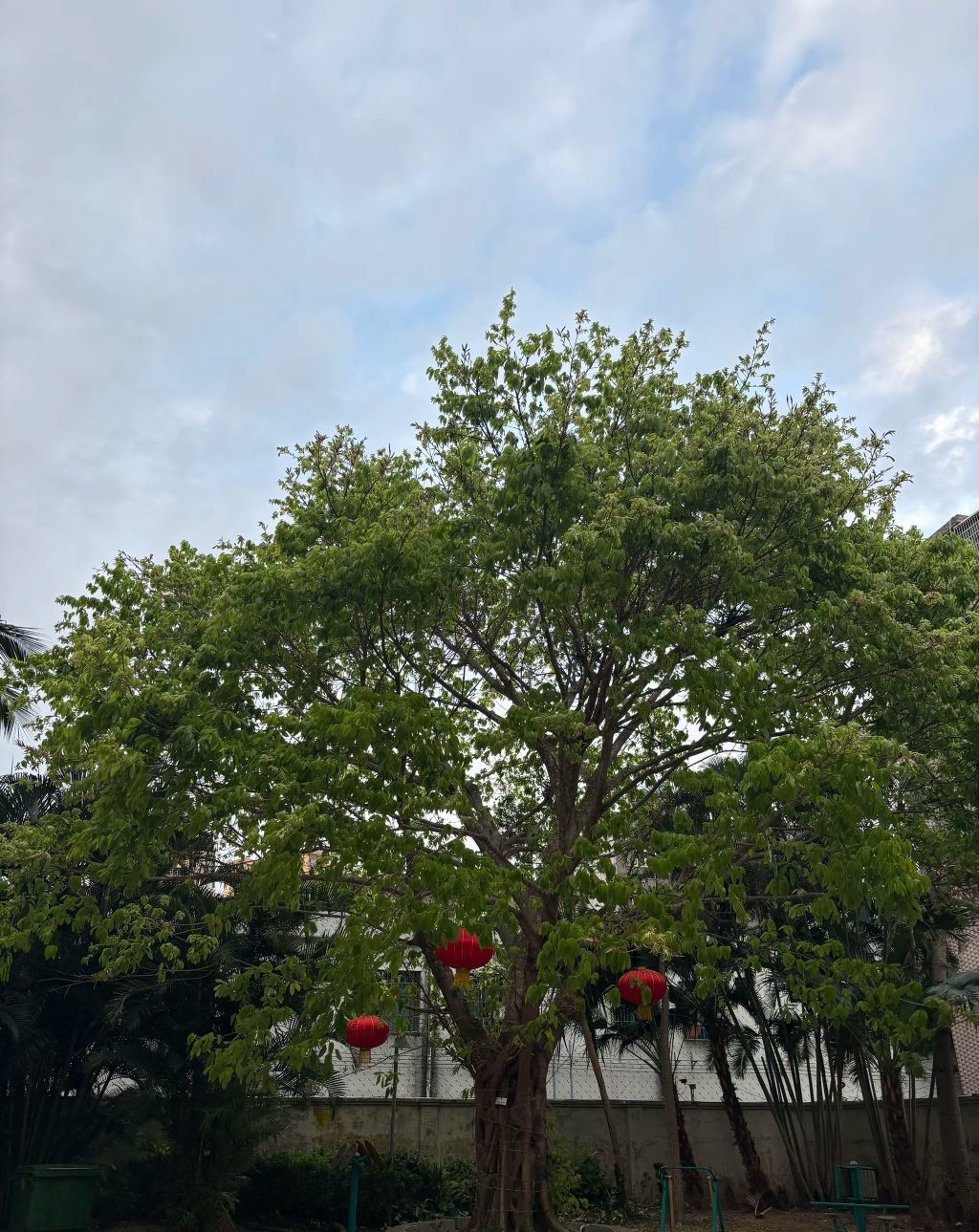 七格格??軍訓隊長主播圖片