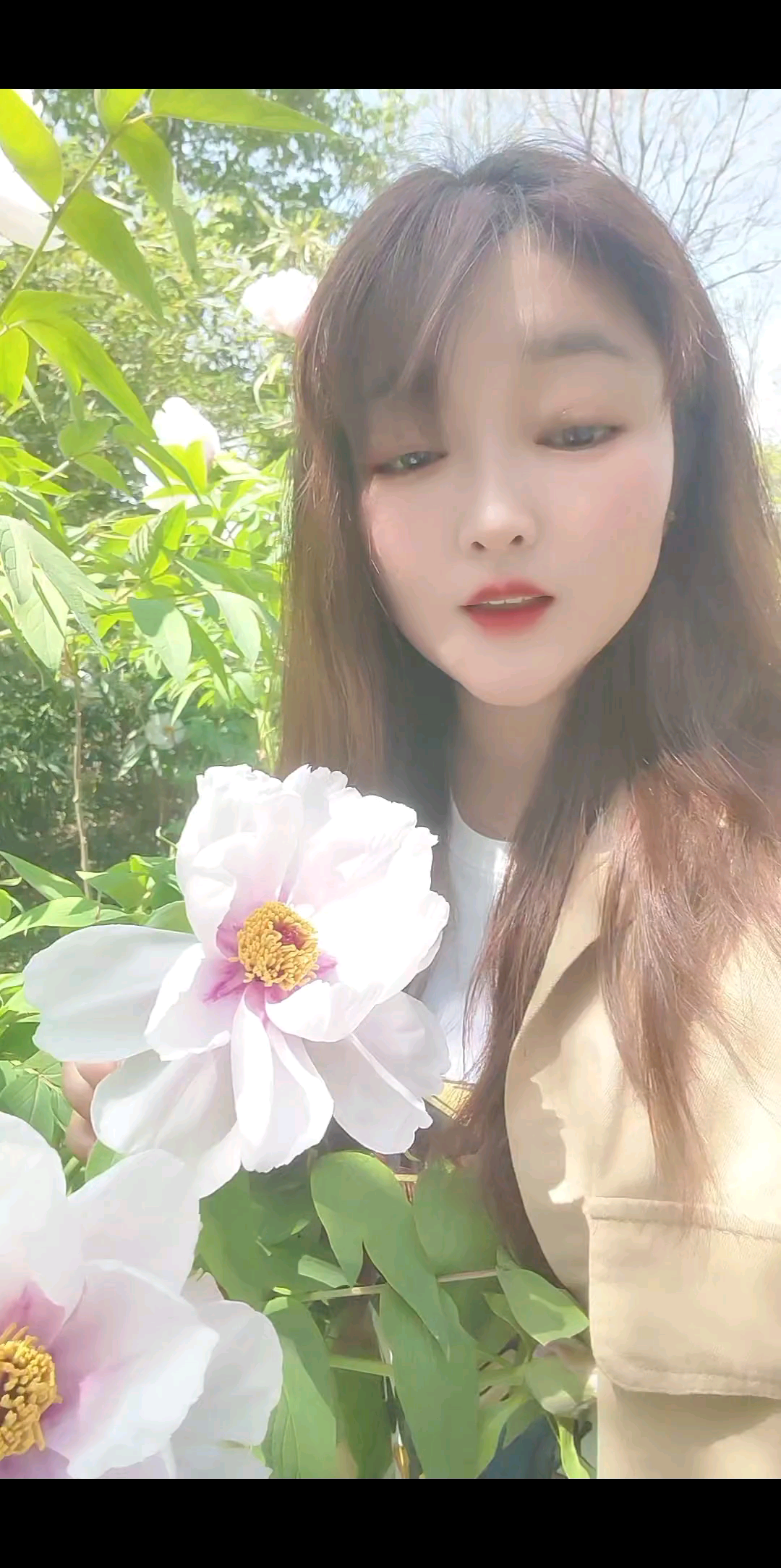 柳叶落花谁人醉，偏偏