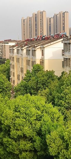 傲世_天下主播照片