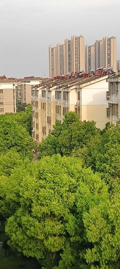 傲世_天下主播照片