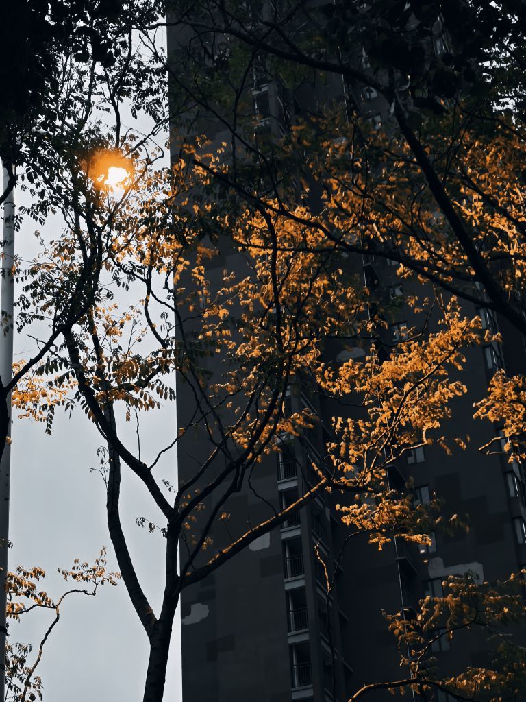 小雨點?主播圖片