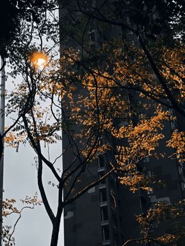 小雨点ღ主播照片