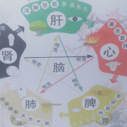 华夏国人万万年