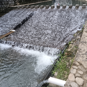 情🌈歌的用户头像