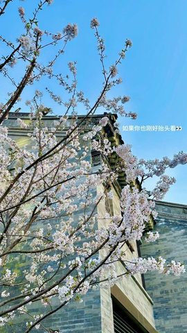 丸子同学🦄主播照片