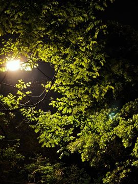 小雨点ღ主播照片