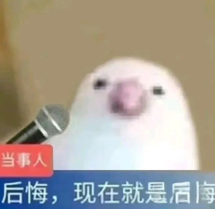 新人灵灵七主播图片