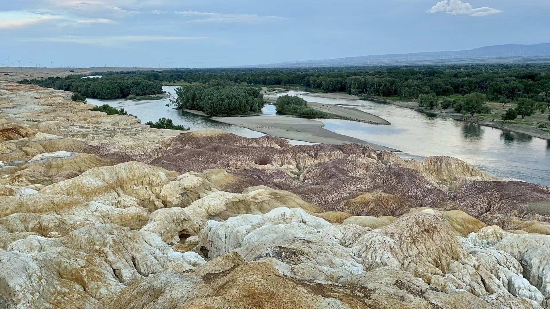 ??禹霏??的主播照片