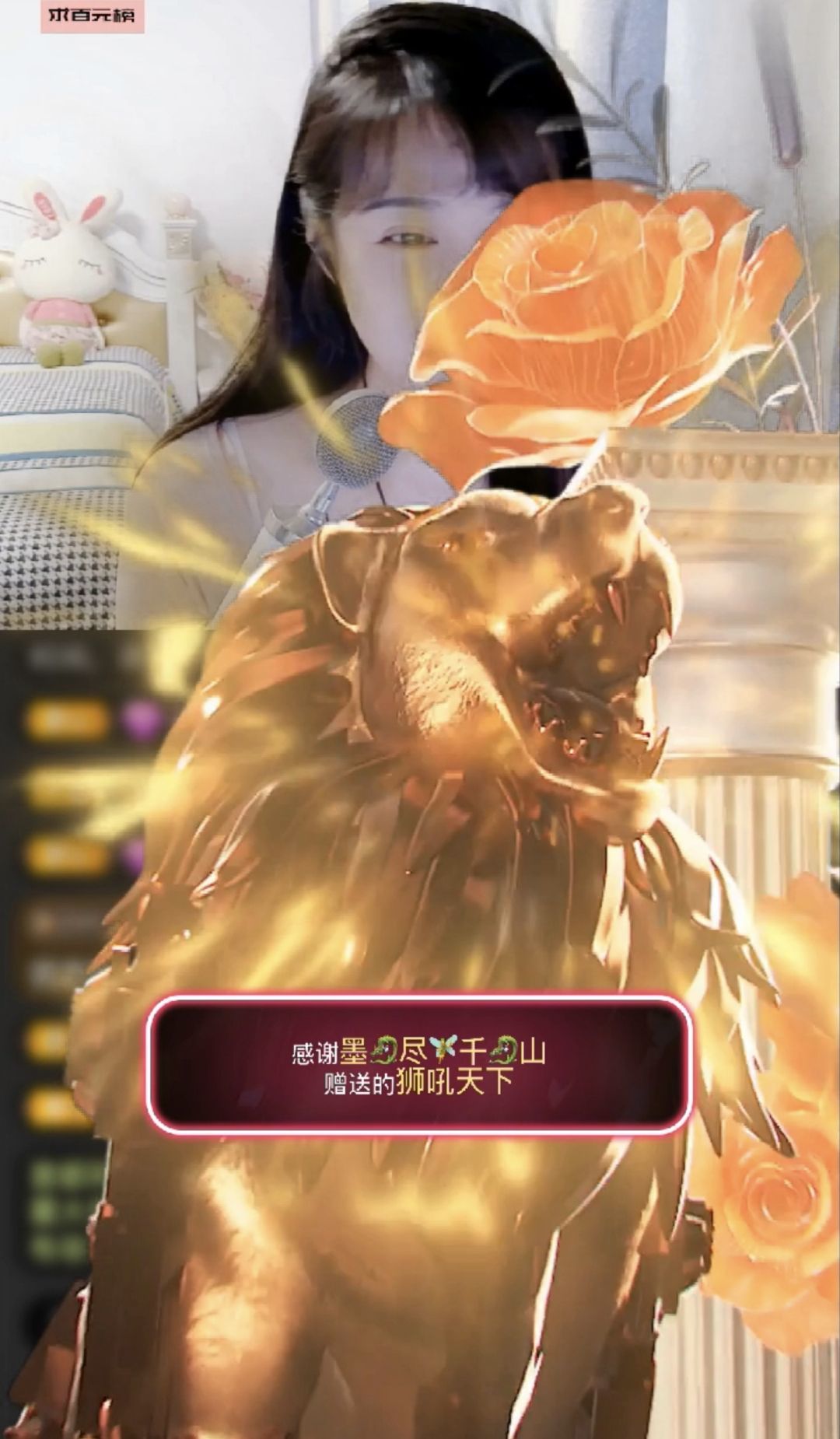 海鸽晚上播的图片