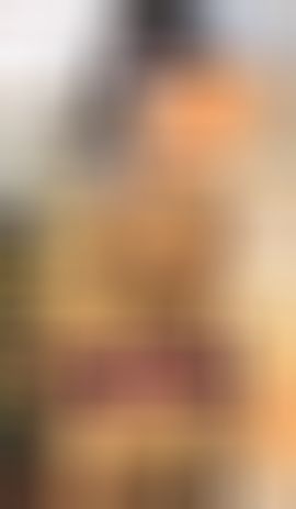 海鸽晚上播主播照片