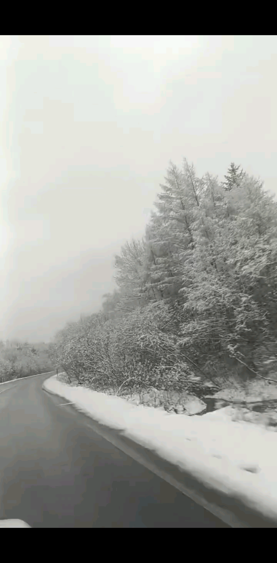 四月的伊春還下雪吶