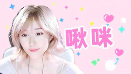 灵猫哥哥的图片