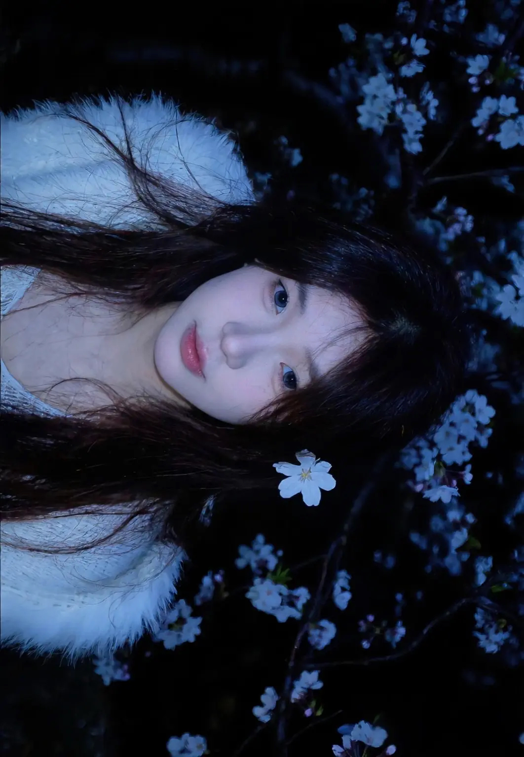 新人77來(lái)啦??主播圖片