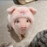 黑夜赶不走孤独