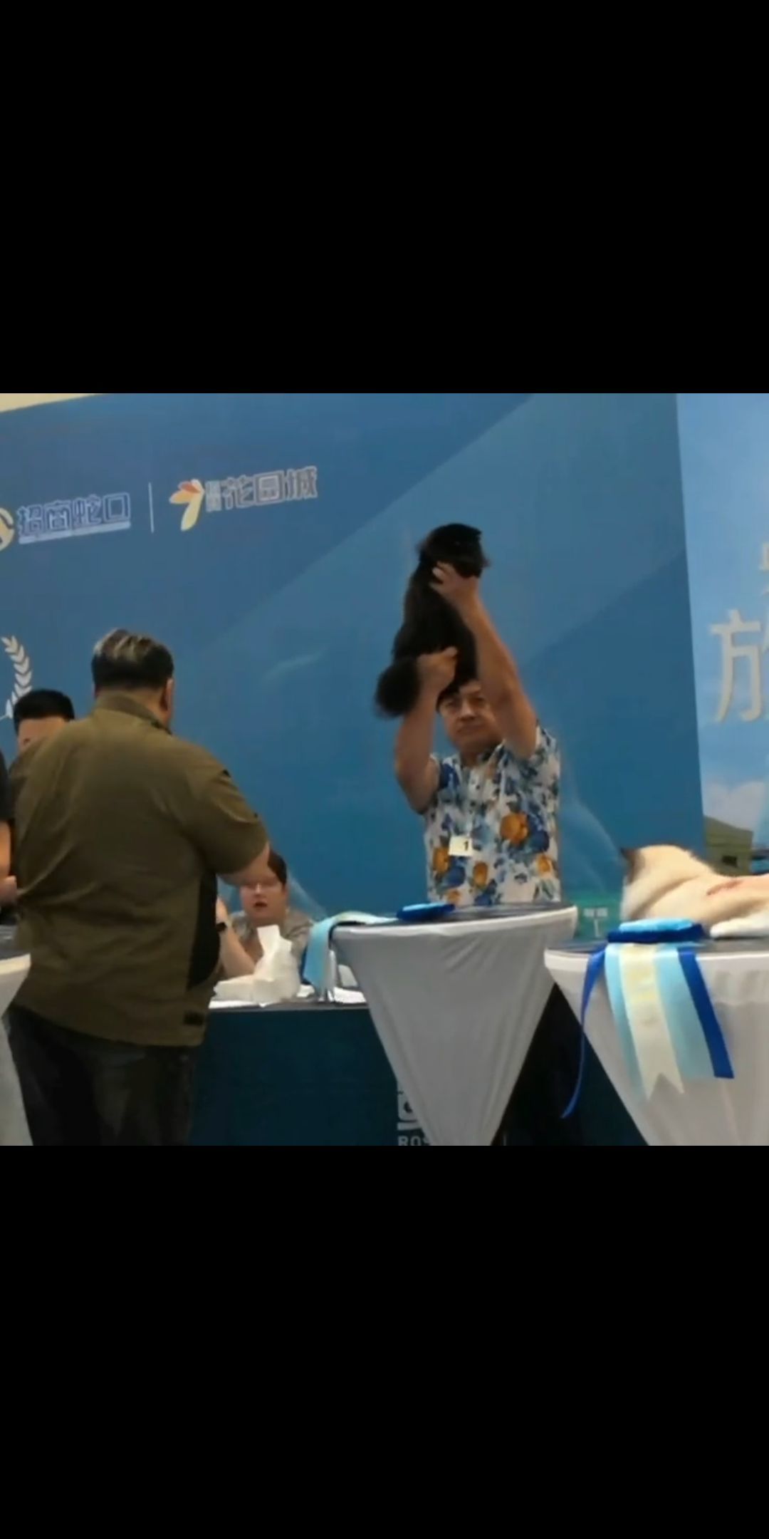怡霖-名猫主播图片