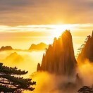 财自道生利缘义取