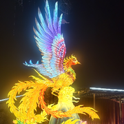 无言碰🌺碰草不碰情