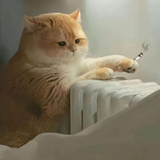 溪云初起日沉阁
