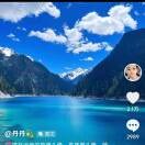 杨大双nVz
