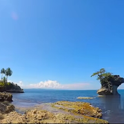 海风轻吹.