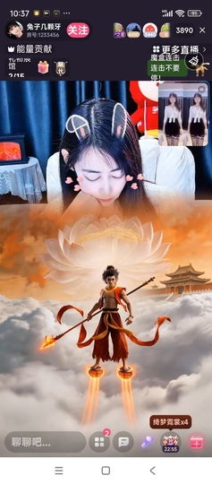 兔子几颗牙的图片