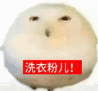 新人灵灵七主播图片